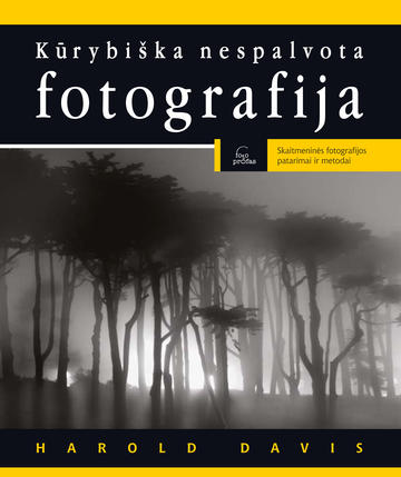 Kūrybiška nespalvota fotografija