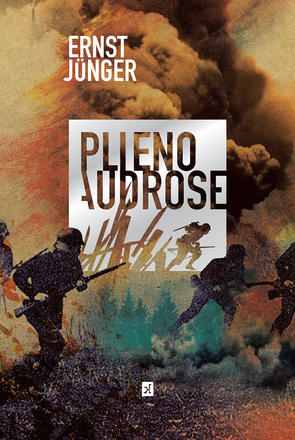 Plieno audrose