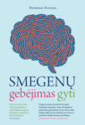 Smegenų gebėjimas gyti