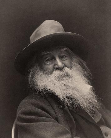 800px-Walt_Whitman_-_George_Collins_Cox
